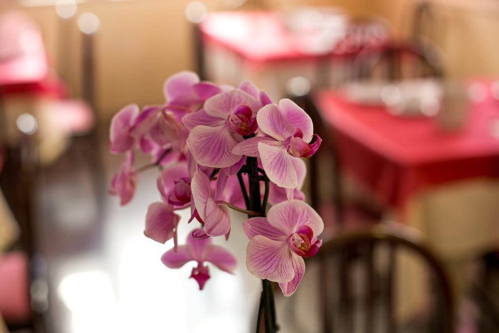 Hotel Le Soleil San Benedetto del Tronto Ngoại thất bức ảnh